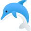 dolphin